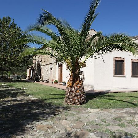 Agriturismo A'Sena-Runcatini Cimina Ngoại thất bức ảnh