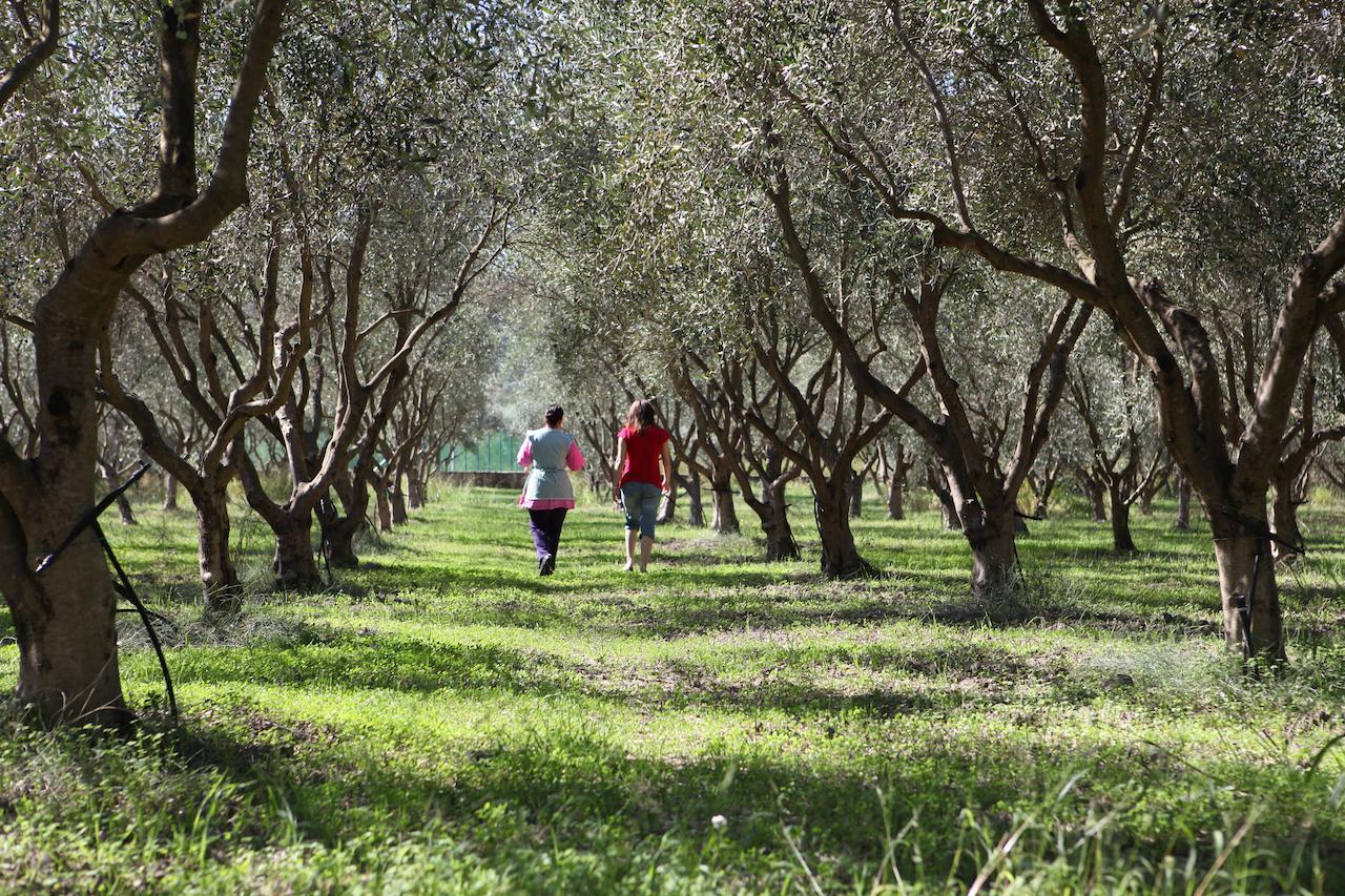 Agriturismo A'Sena-Runcatini Cimina Ngoại thất bức ảnh